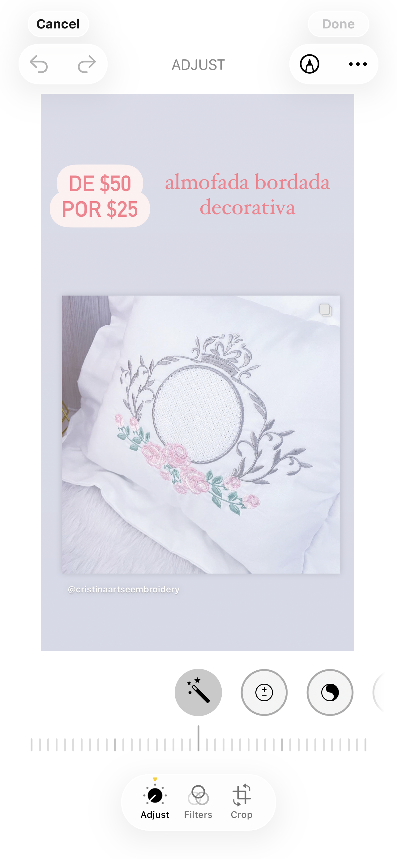 Decoration Cushion Embroidery / Almofada Decorativa Bordada