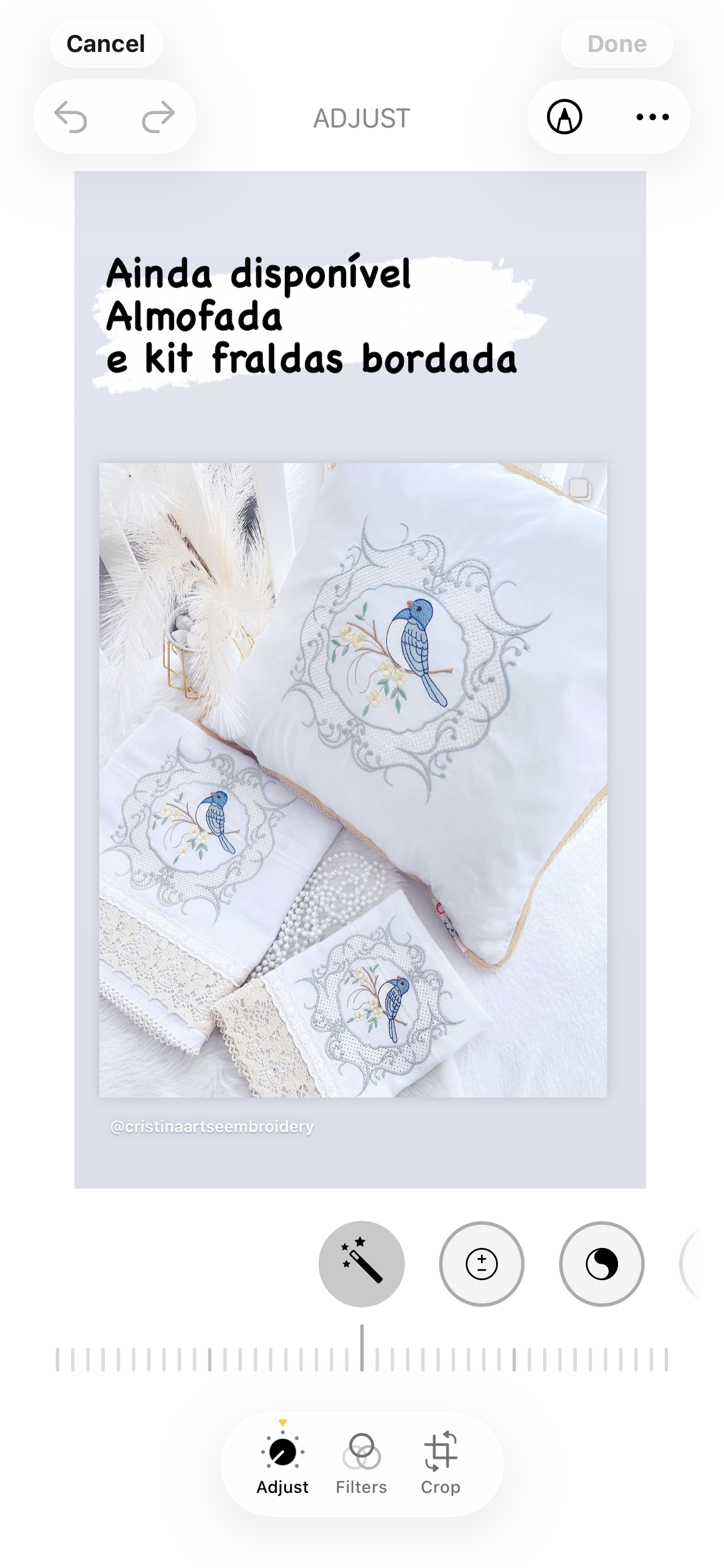 Decoration Cushion Embroidery / Almofada Decorativa Bordada